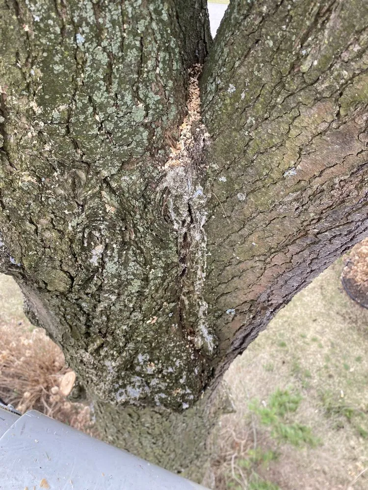 Custom residential landscaping in Holland, MI - Sticks Tree and Trimmings