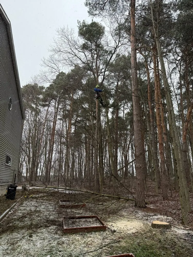 Expert residential landscaping for homes in Holland, MI by Sticks Tree and Trimmings