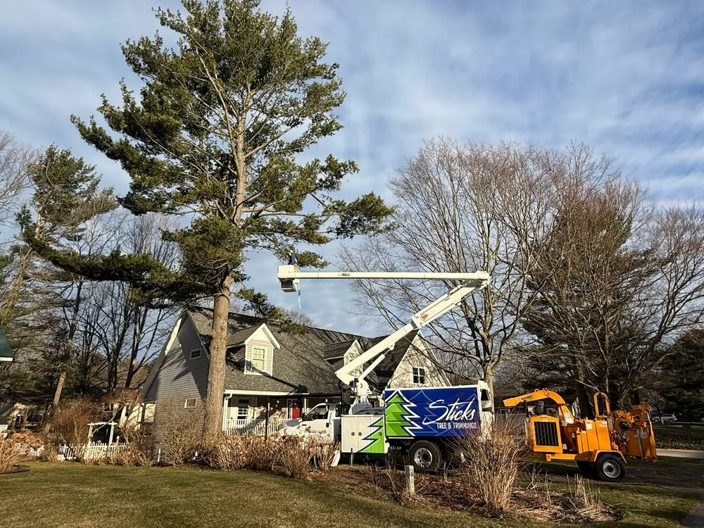 Top-rated lawn care service in Holland, MI - Sticks Tree and Trimmings