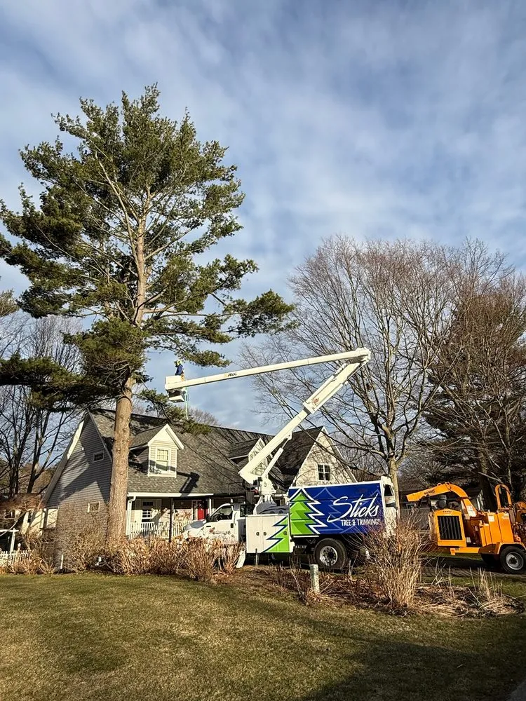Affordable yard maintenance in Holland, MI - Sticks Tree and Trimmings