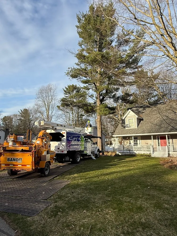 Top-rated outdoor landscaping for year-round maintenance across Holland, MI - Sticks Tree and Trimmings