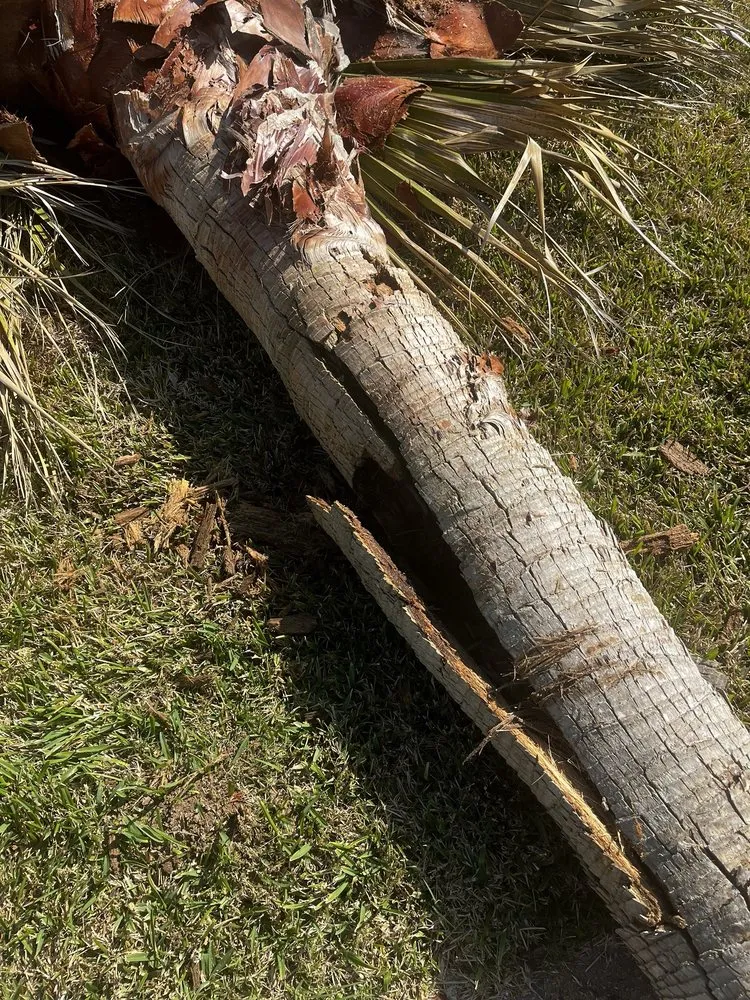 Expert garden landscaping in Cypress, TX by Sticks Tree Service