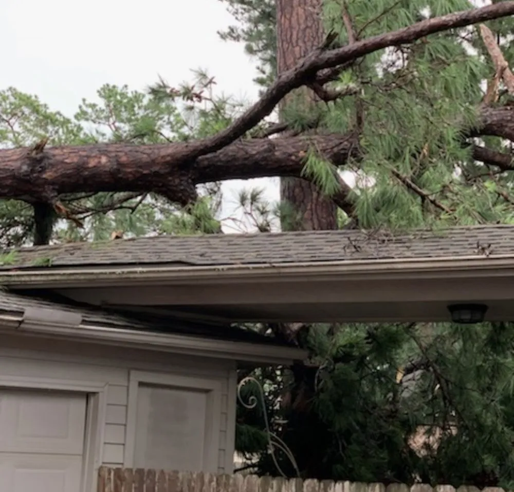 Trusted residential landscaping experts serving Cypress, TX - Sticks Tree Service