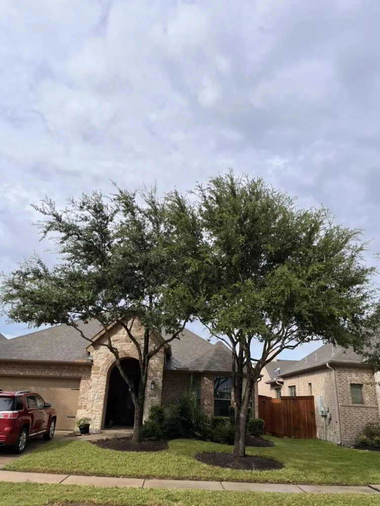 Expert yard maintenance experts serving Cypress, TX - Sticks Tree Service