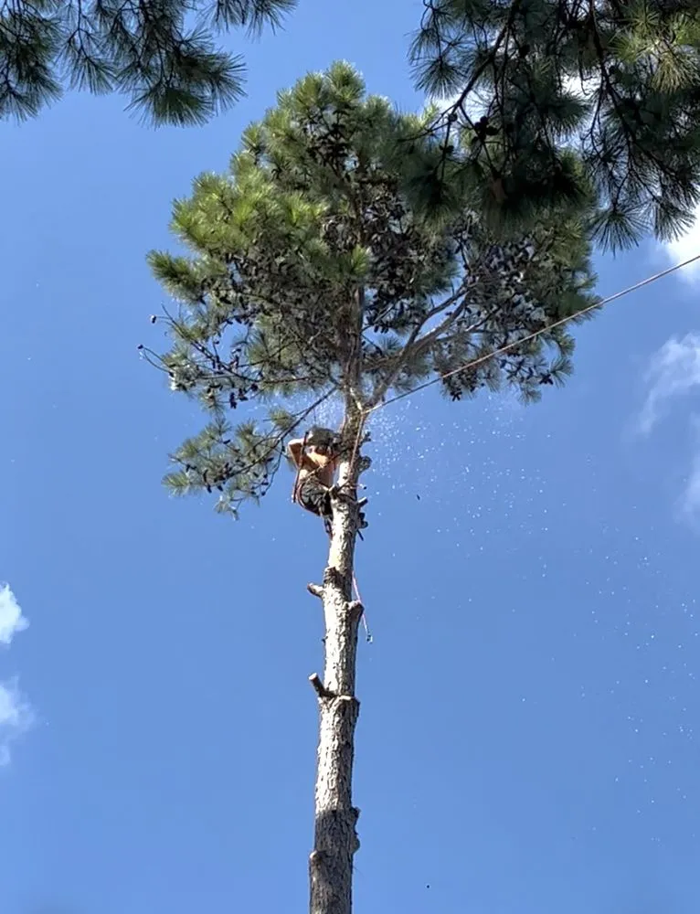 Affordable outdoor landscaping for outdoor upgrades in Cypress, TX by Sticks Tree Service