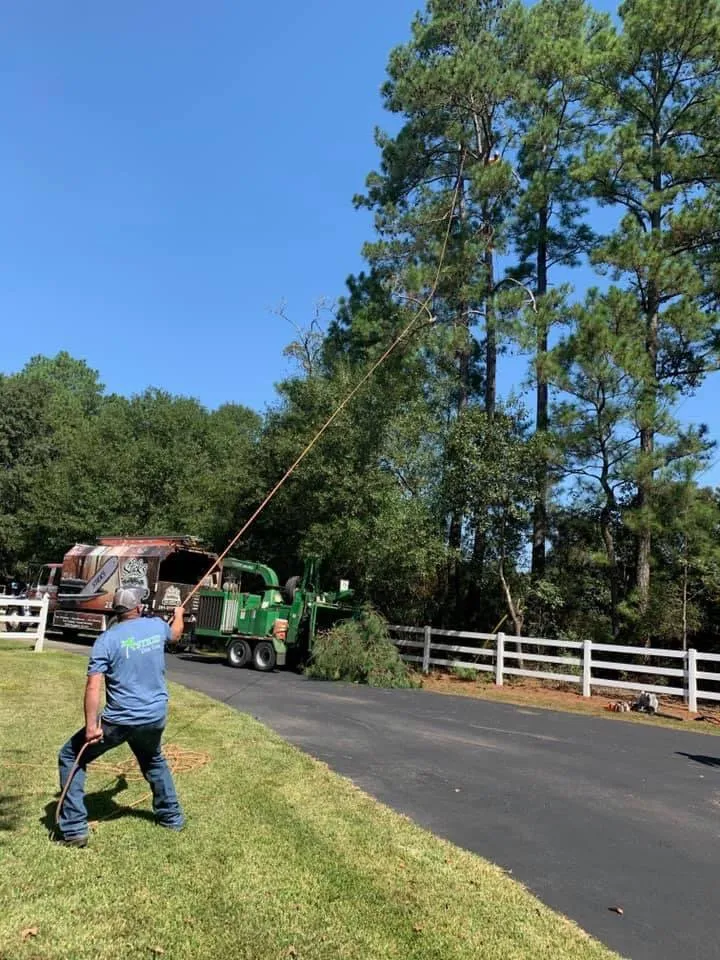 Expert landscape design in Cypress, TX - Sticks Tree Service