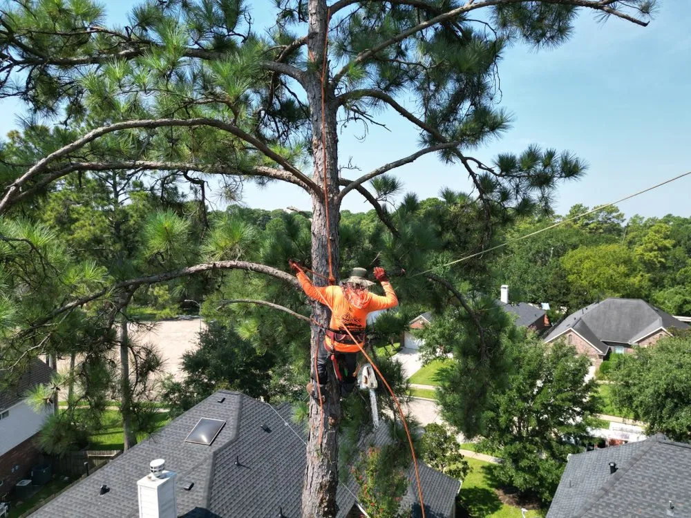 Local garden landscaping experts serving Cypress, TX - Sticks Tree Service