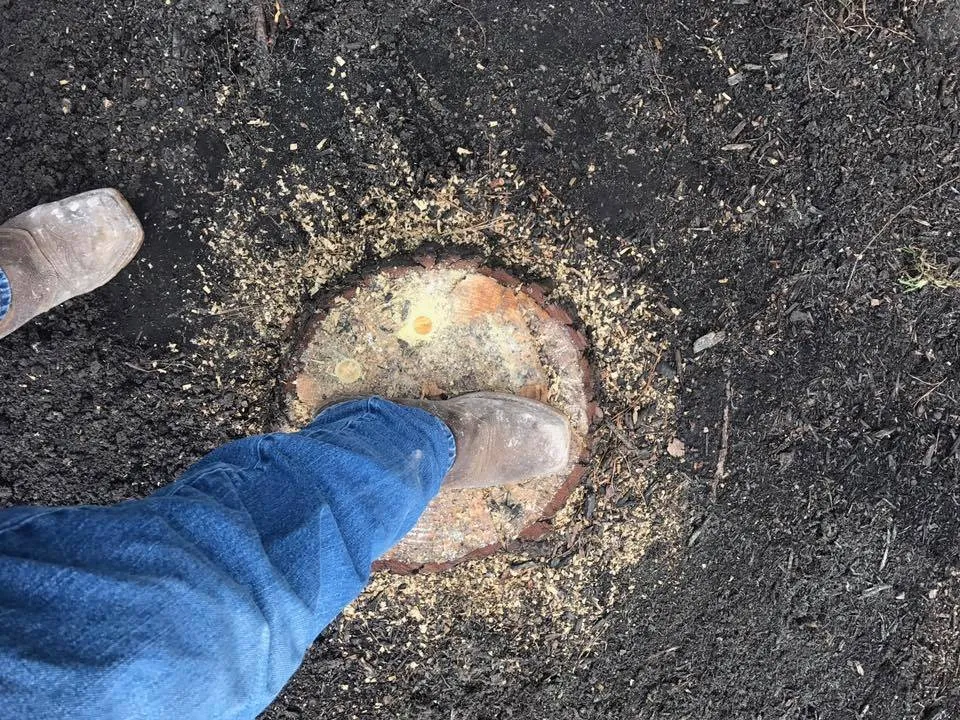 Local lawn mowing service experts serving Cypress, TX - Sticks Tree Service