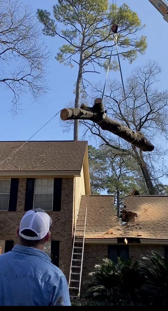 Professional landscape installation experts serving Cypress, TX - Sticks Tree Service