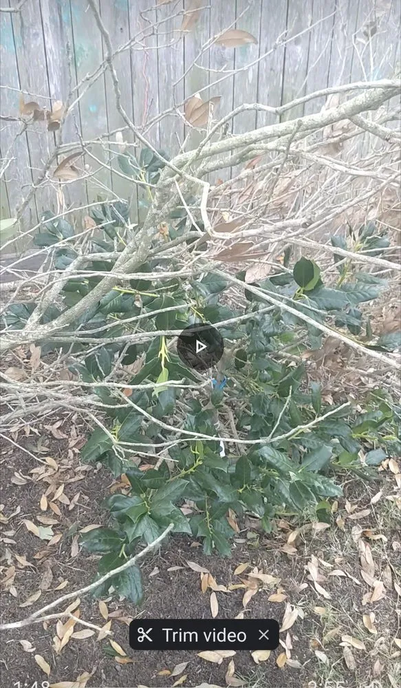 Reliable lawn mowing service for year-round maintenance across Cypress, TX - Sticks Tree Service