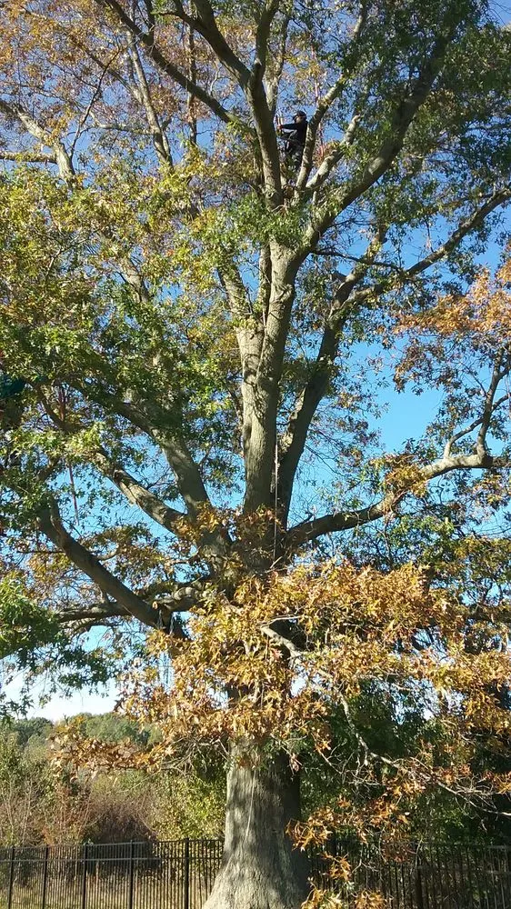 Local garden landscaping in Norristown, PA - Stiefel Lawn & Tree Services