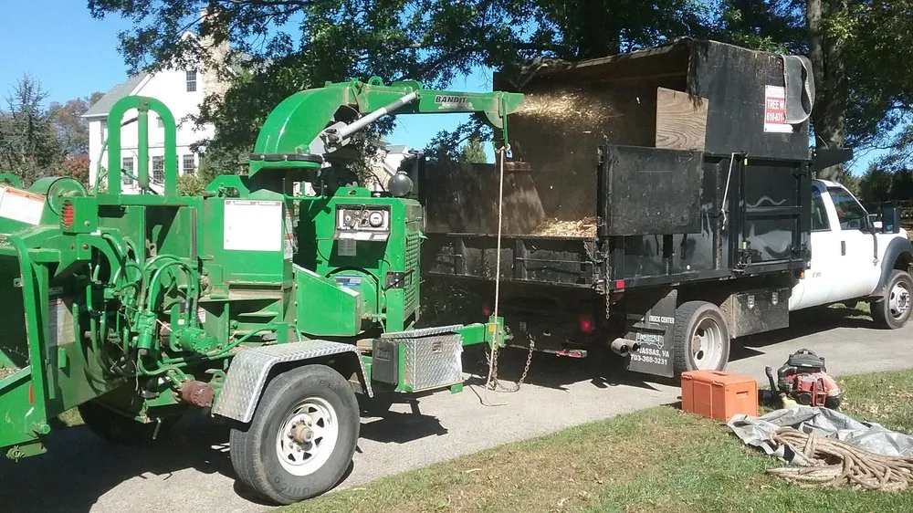 Local yard cleanup service in Norristown, PA - Stiefel Lawn & Tree Services