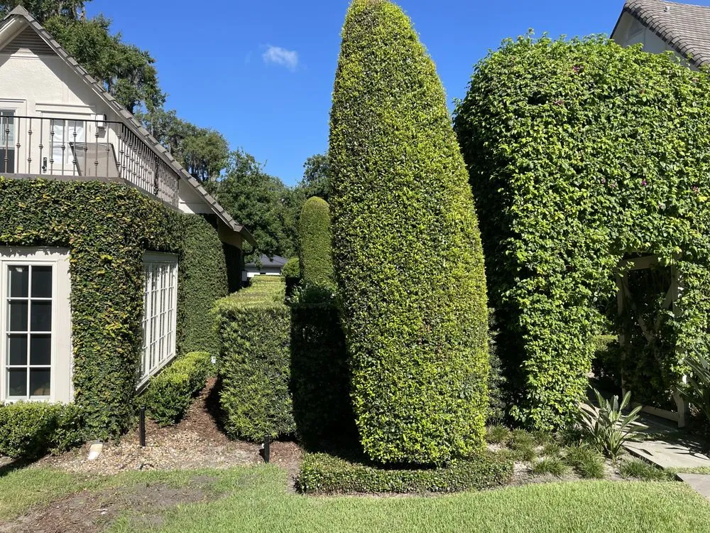 Reliable residential landscaping in Orlando, FL - Stiks And Stones