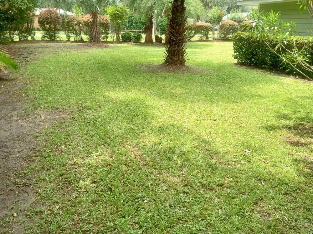 Custom yard cleanup service experts serving Waynesville, GA - Stiles Favored By God