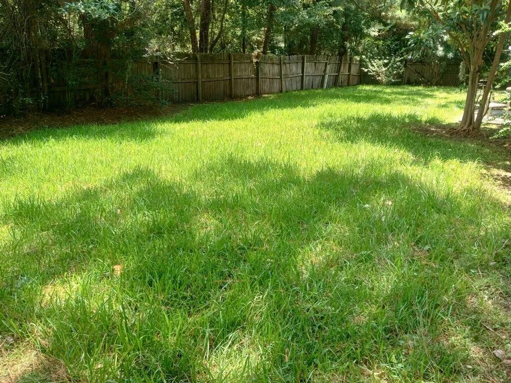 Professional yard cleanup service in Waynesville, GA by Stiles Favored By God