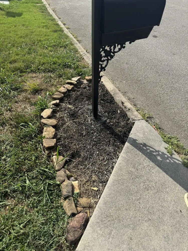 Reliable yard cleanup service for residential properties in Knoxville, TN by Stiles Hauling