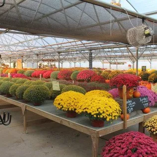 Expert garden landscaping in Lansing, MI - Stiles Lawn, Landscaping & Snow Removal