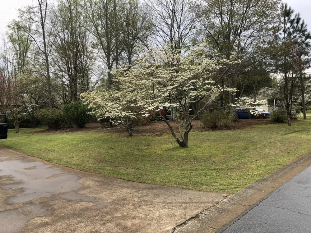 Local landscape design in Acworth, GA - Still Magnolia