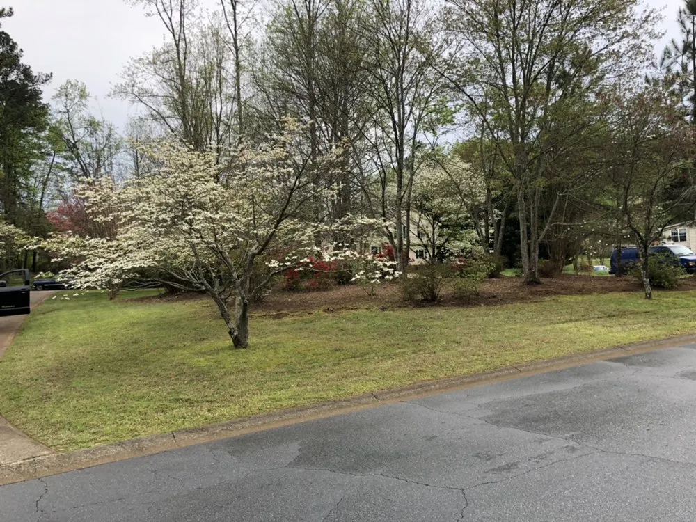 Affordable landscape installation in Acworth, GA - Still Magnolia
