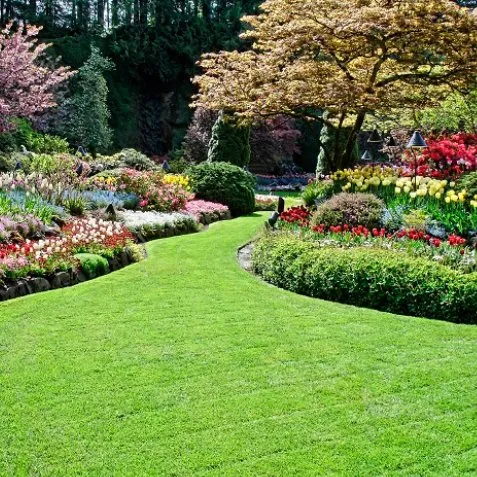 Custom yard maintenance in Acworth, GA - Still Magnolia