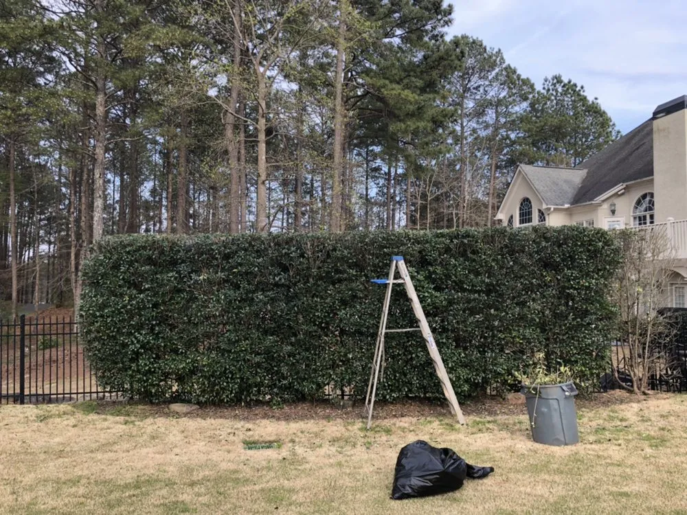 Top-rated garden landscaping for year-round maintenance in Acworth, GA by Still Magnolia