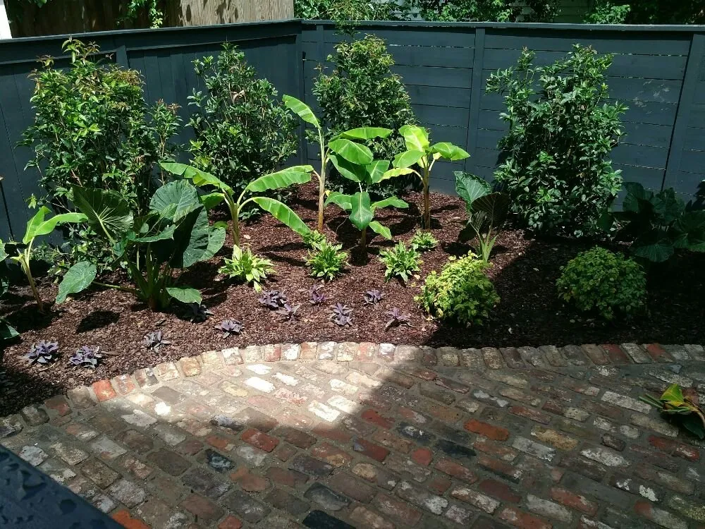 Affordable yard maintenance for homes in Ladson, SC by StillGreen