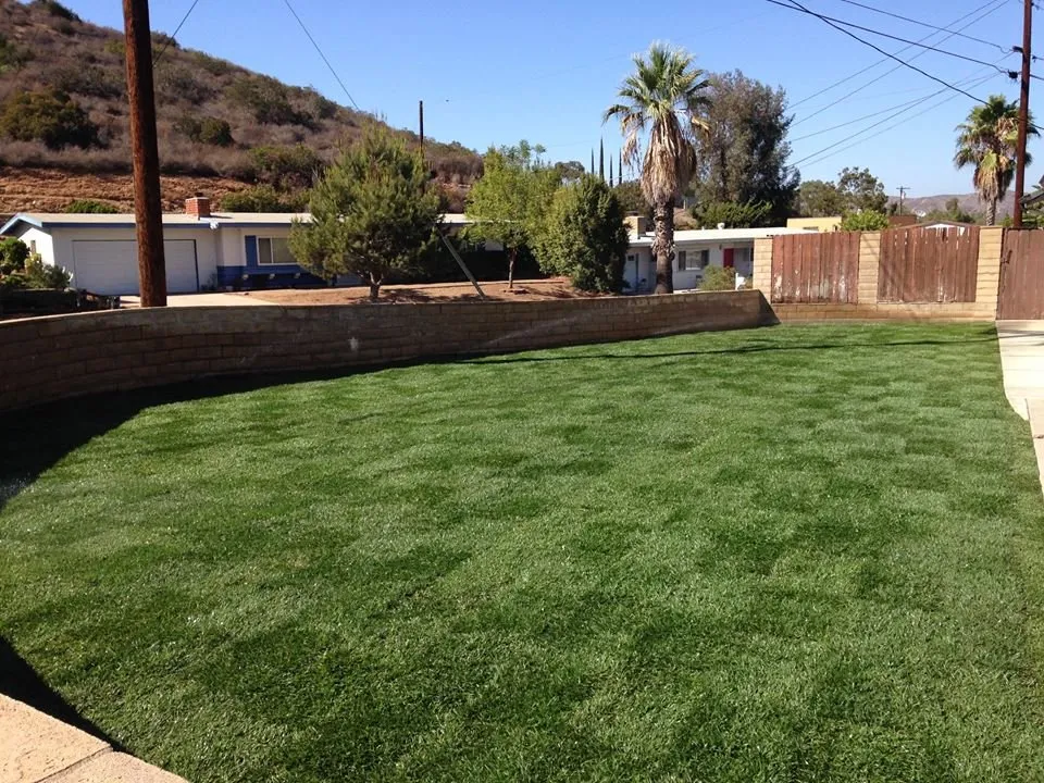 Reliable yard maintenance in Santee, CA - Stillson Landscaping