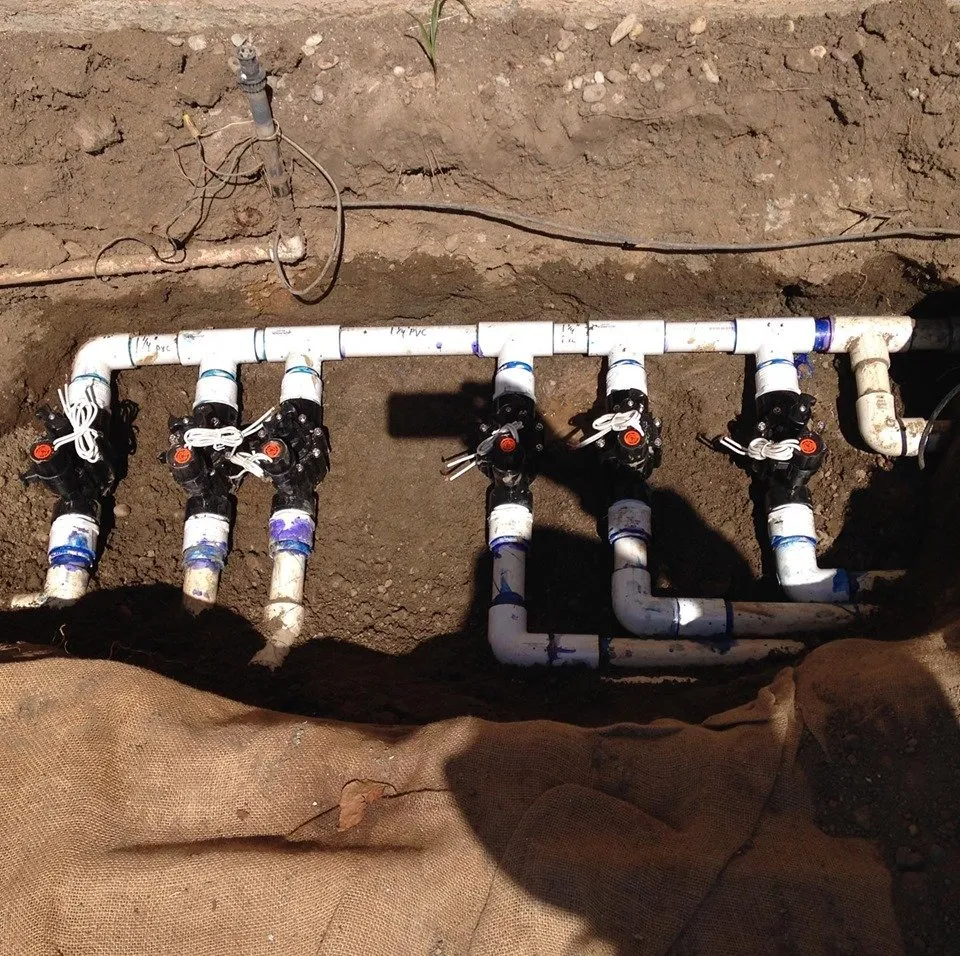 Reliable lawn mowing service experts serving Santee, CA - Stillson Landscaping