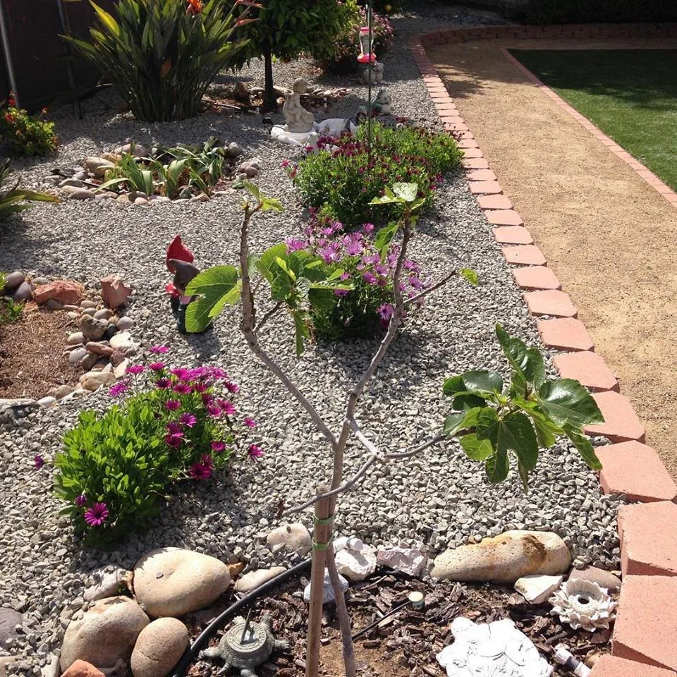 Top-rated residential landscaping for residential properties in Santee, CA by Stillson Landscaping
