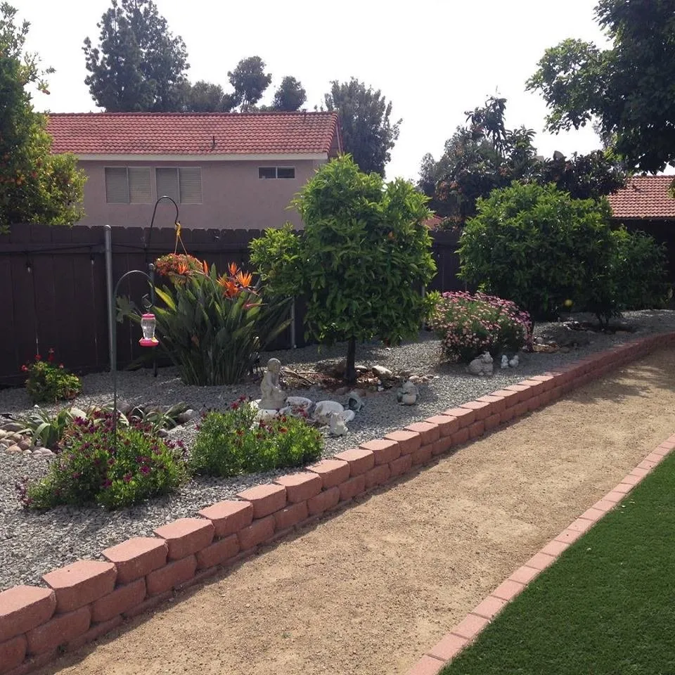 Affordable yard cleanup service for beautiful yards across Santee, CA - Stillson Landscaping
