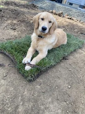 Stillwater Lawn Care