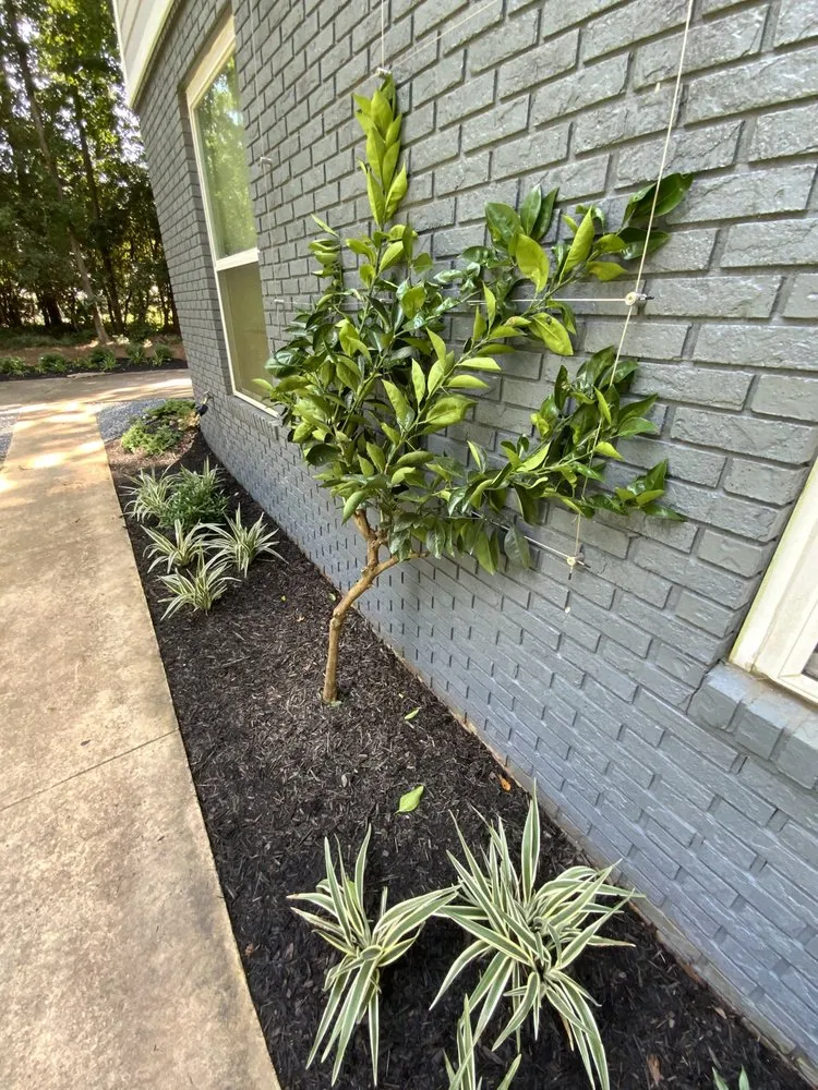 Trusted garden landscaping in Tallahassee, FL - Stillwater Nurseries