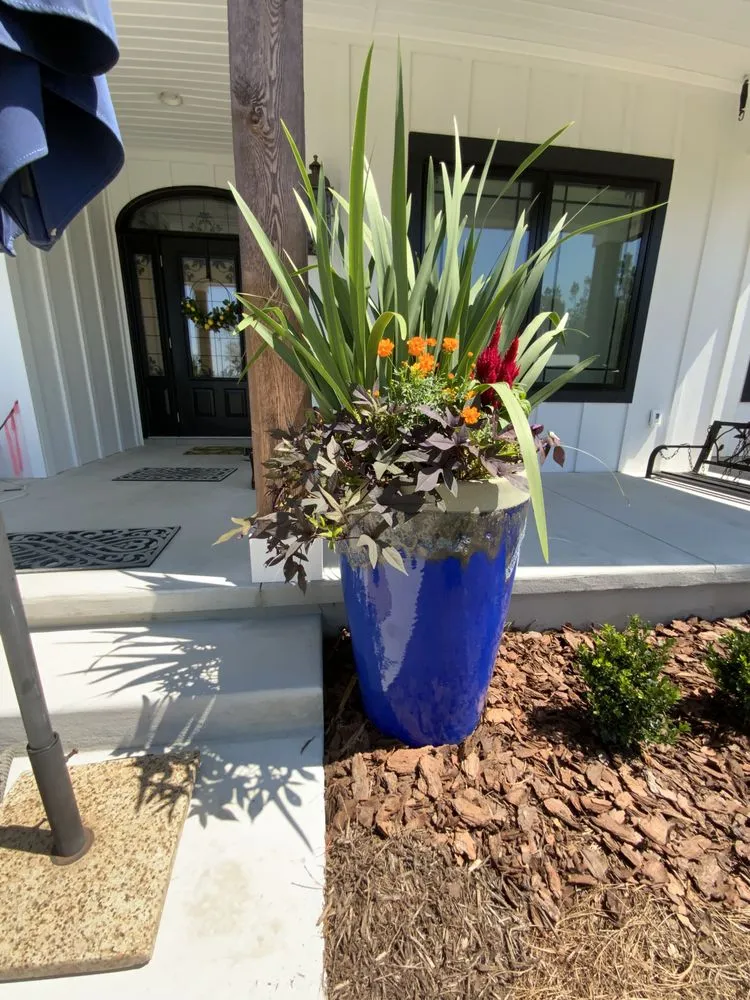 Professional yard cleanup service in Tallahassee, FL - Stillwater Nurseries