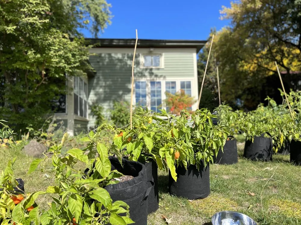 Reliable landscape installation with custom design across Stillwater, MN - Stillwater Organic