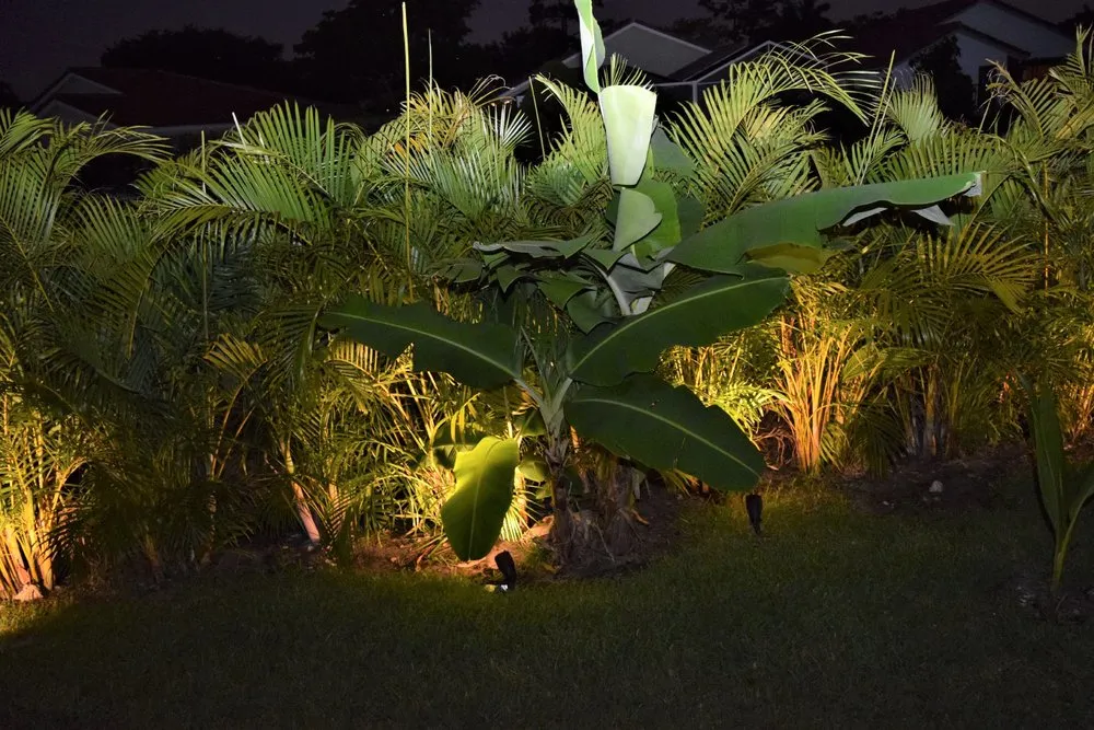 Professional landscaping services experts serving Boca Raton, FL - Stina Brothers Landscape, maintenance & Design