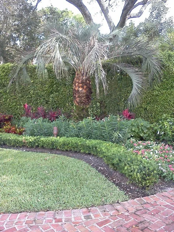 Professional yard maintenance experts serving Boca Raton, FL - Stina Brothers Landscape, maintenance & Design