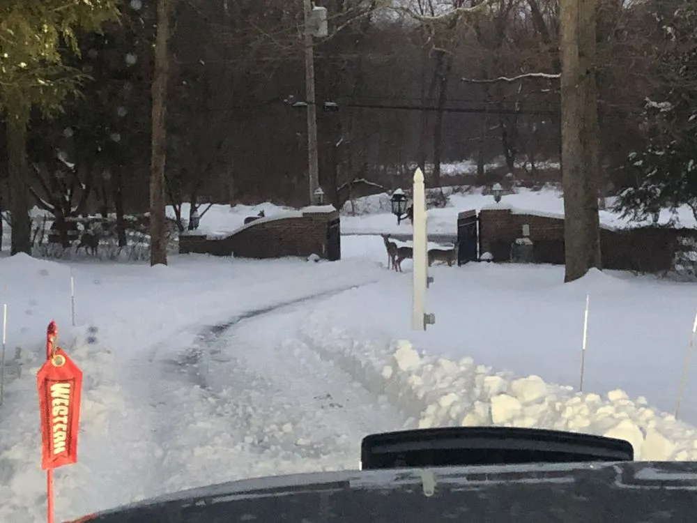 Trusted lawn mowing service experts serving Gap, PA - Stine Landscaping & Lawn Service