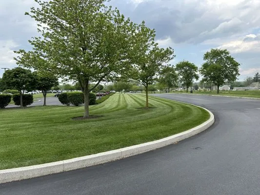 Stine Landscaping & Lawn Service