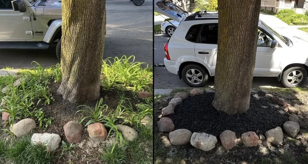 Reliable lawn care service in West Seneca, NY - Stinemans Landscaping