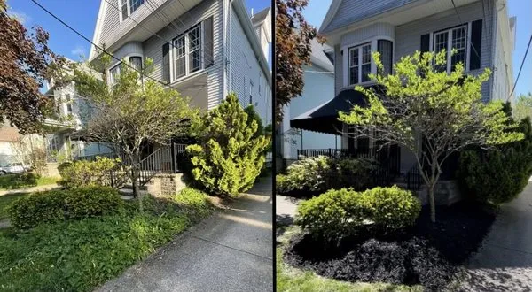 Stinemans Landscaping Logo