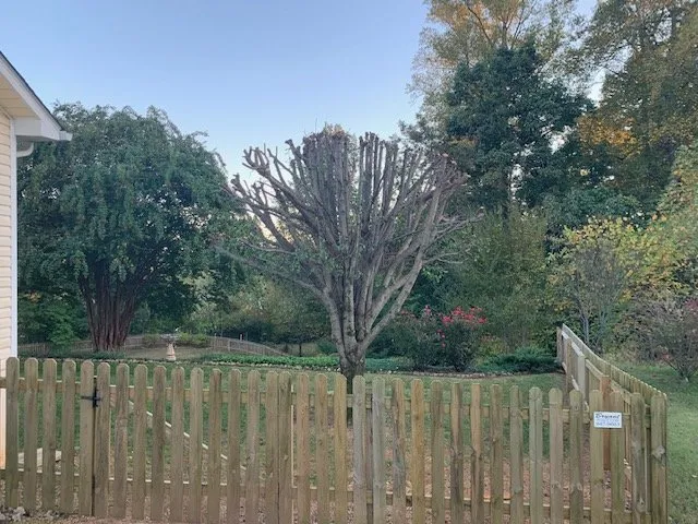 Top-rated lawn care service in Maynardville, TN - Stiner's Home and Landscape