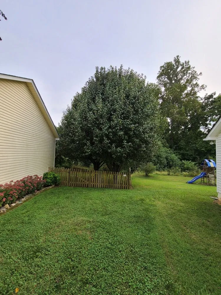 Trusted lawn mowing service experts serving Maynardville, TN - Stiner's Home and Landscape