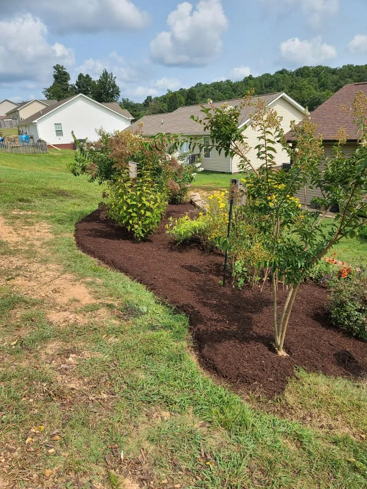 Top-rated lawn care service in Maynardville, TN by Stiner's Home and Landscape