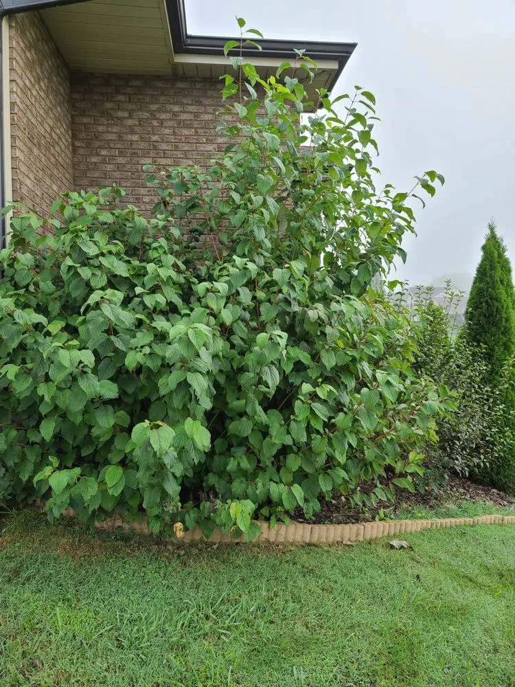 Trusted residential landscaping in Maynardville, TN by Stiner's Home and Landscape