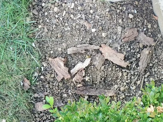 Stirling Landscaping & Nursery Sales Logo