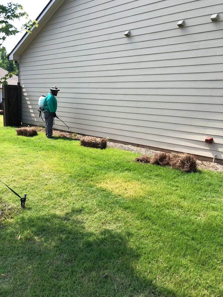 Affordable lawn care service in Athens, GA - Stitt Professional lawn care service