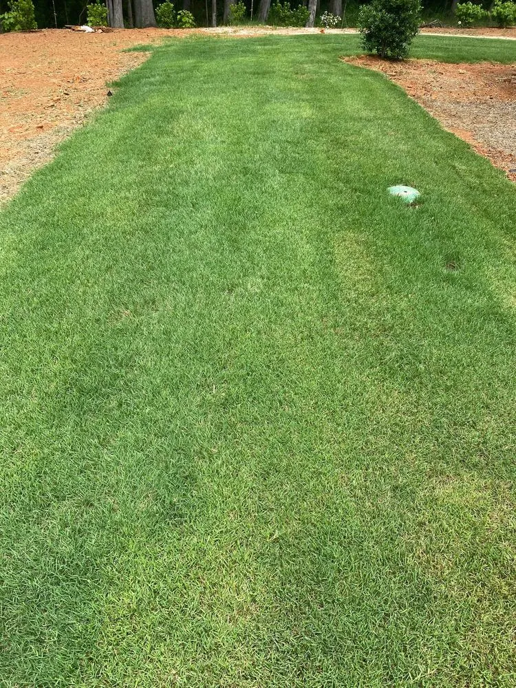 Trusted residential landscaping in Athens, GA - Stitt Professional lawn care service