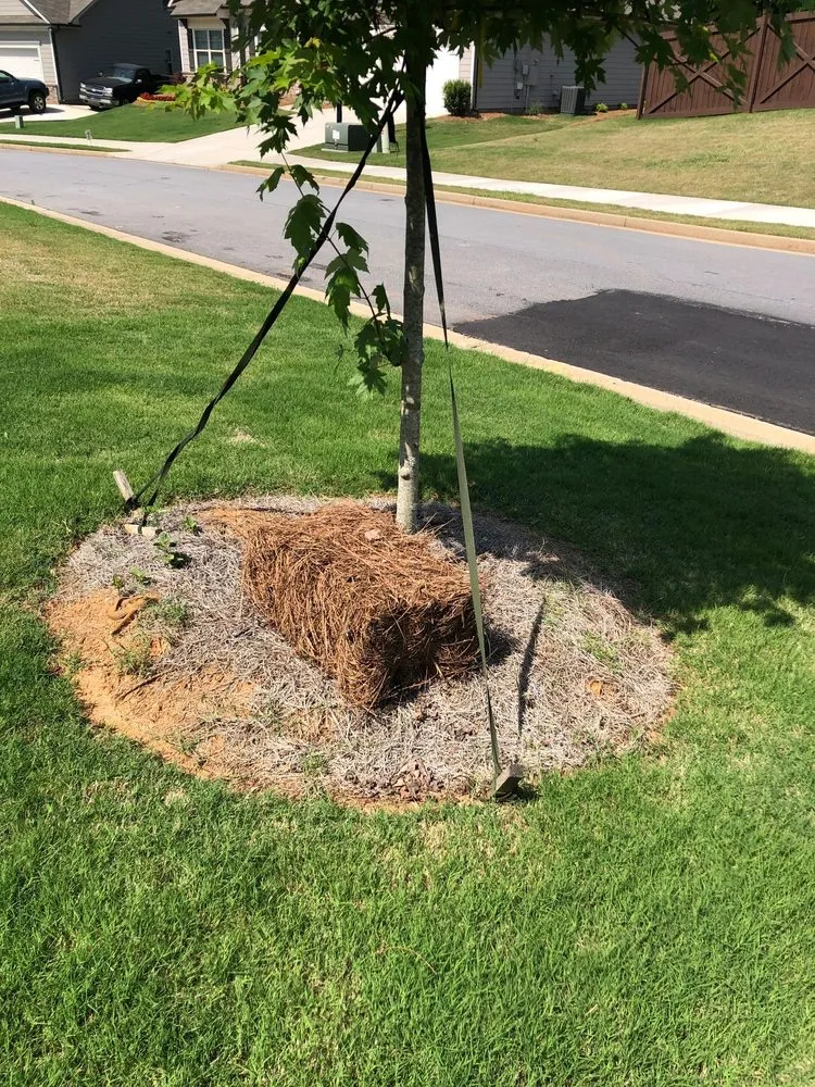 Trusted landscape installation in Athens, GA by Stitt Professional lawn care service