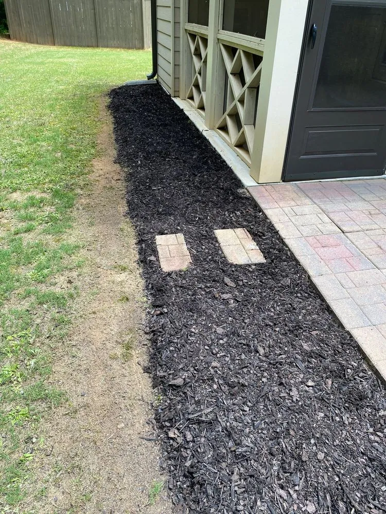 Reliable yard cleanup service in Athens, GA - Stitt Professional lawn care service