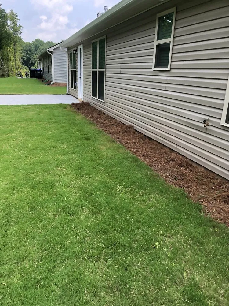 Trusted yard maintenance in Athens, GA by Stitt Professional lawn care service